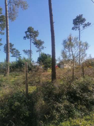 Terreno urbano com 3977 m2 na Aroeira, Charneca de Caparica.