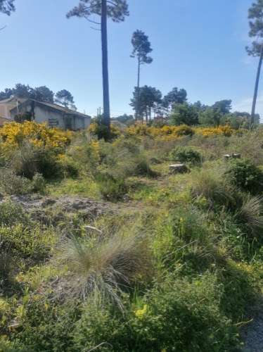 Terreno urbano com 3977 m2 na Aroeira, Charneca de Caparica.