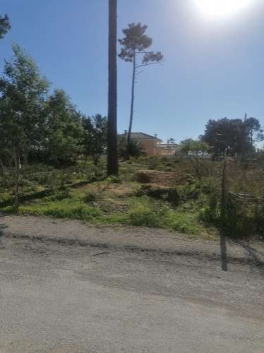 Terreno urbano com 3977 m2 na Aroeira, Charneca de Caparica.