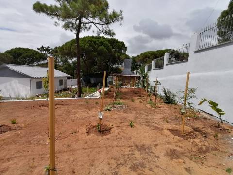 3 Terrenos na Courela do Pinhal com uma moradia terrea T2