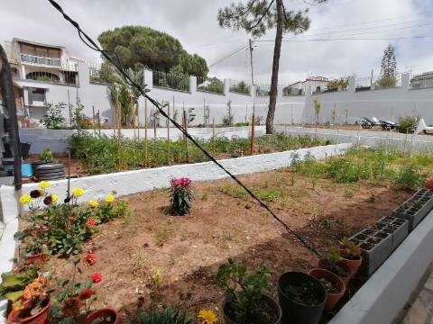 3 Terrenos na Courela do Pinhal com uma moradia terrea T2