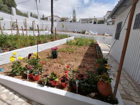 3 Terrenos na Courela do Pinhal com uma moradia terrea T2