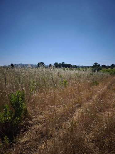 Dois lotes de terrenos rústicos na Quinta de Serralheiras em Palmela