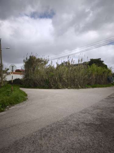 Quinta em Monte de Caparica,Almada, com lote de 23 497 m² ,perto de Universidade.