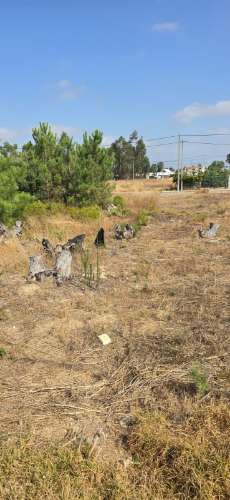 Terreno para construção , com 608 m2 de área total, na Quinta da Marquesa I e III,Quinta da Torre, Quinta do Anjo,Palmela.