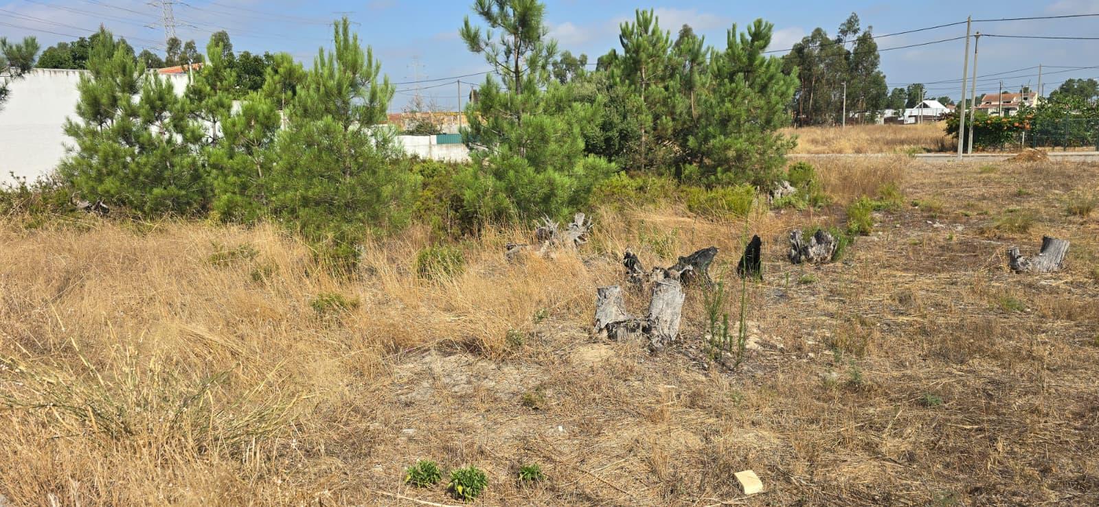 Terreno para construção , com 608 m2 de área total, na Quinta da Marquesa I e III,Quinta da Torre, Quinta do Anjo,Palmela.