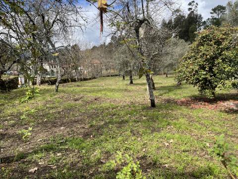 Moradia T4 em Chacim, Cabeceiras de Basto