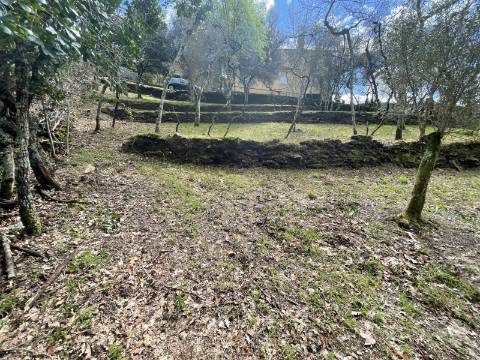 Moradia T4 em Chacim, Cabeceiras de Basto