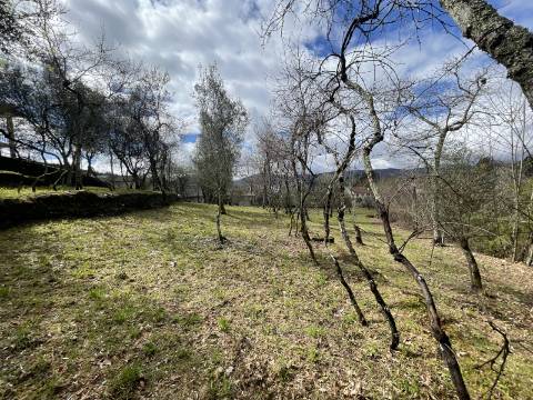 Moradia T4 em Chacim, Cabeceiras de Basto