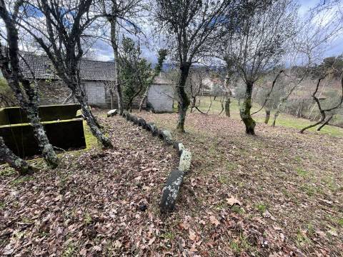 Moradia T4 em Chacim, Cabeceiras de Basto