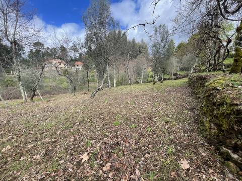 Moradia T4 em Chacim, Cabeceiras de Basto