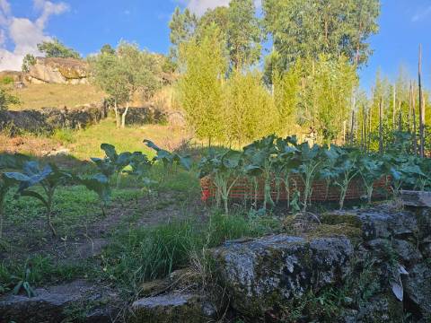 Moradia para restauro, lugar de Leiradas, Cabeceiras de Basto