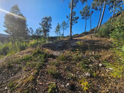 Moradia para restauro, lugar de Leiradas, Cabeceiras de Basto