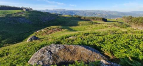 Terreno com projeto de turismo aprovado, em Cabeceiras de Basto