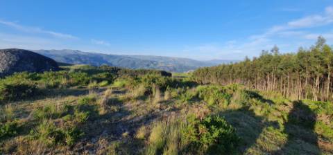 Terreno com projeto de turismo aprovado, em Cabeceiras de Basto