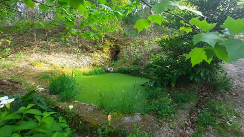 QUINTINHA T1 + 2, em Refojos de Basto, Cabeceiras de Basto