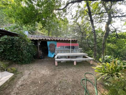 QUINTINHA T1 + 2, em Refojos de Basto, Cabeceiras de Basto