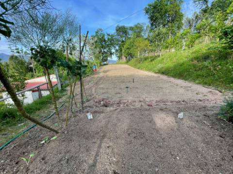 QUINTINHA T1 + 2, em Refojos de Basto, Cabeceiras de Basto