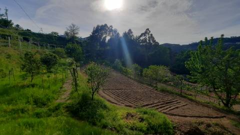 QUINTINHA T1 + 2, em Refojos de Basto, Cabeceiras de Basto