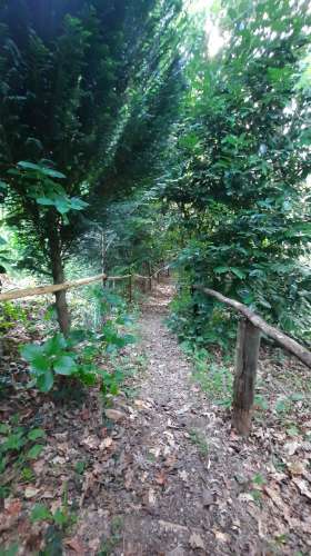 QUINTINHA T1 + 2, em Refojos de Basto, Cabeceiras de Basto