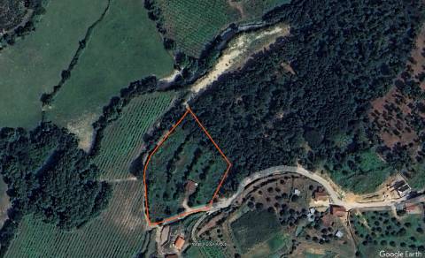 Quintinha próxima a área de lazer e rio de Sta Senhorinha (Basto), Cabeceiras de Basto