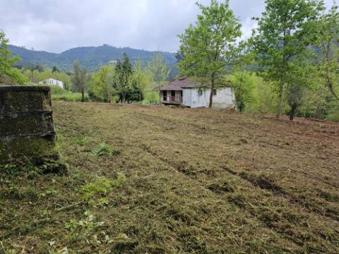 Quintinha próxima a área de lazer e rio de Sta Senhorinha (Basto), Cabeceiras de Basto