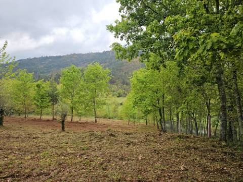 Quintinha próxima a área de lazer e rio de Sta Senhorinha (Basto), Cabeceiras de Basto