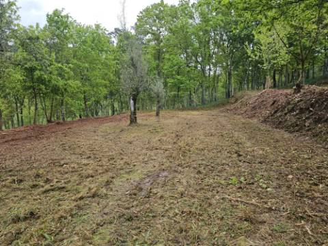 Quintinha próxima a área de lazer e rio de Sta Senhorinha (Basto), Cabeceiras de Basto