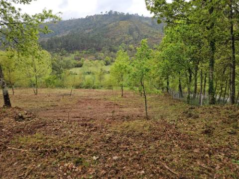 Quintinha próxima a área de lazer e rio de Sta Senhorinha (Basto), Cabeceiras de Basto