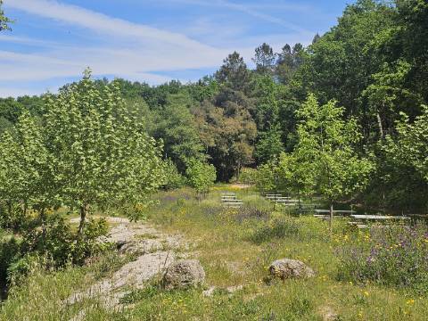 Quintinha próxima a área de lazer e rio de Sta Senhorinha (Basto), Cabeceiras de Basto
