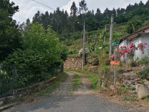TERRENO COM APROXIMADAMENTE 14.000M² EM CERVA, RIBEIRA DE PENA