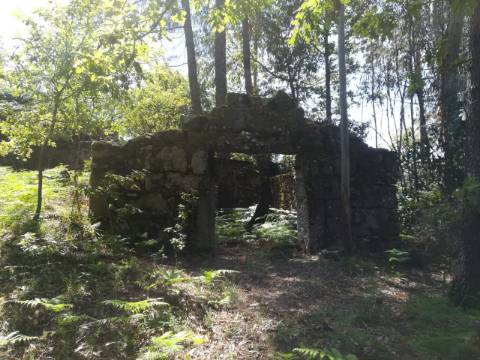 TERRENO COM APROXIMADAMENTE 14.000M² EM CERVA, RIBEIRA DE PENA
