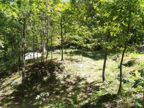 TERRENO COM APROXIMADAMENTE 14.000M² EM CERVA, RIBEIRA DE PENA