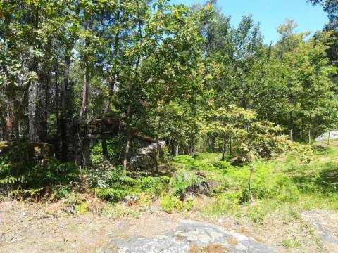 TERRENO COM APROXIMADAMENTE 14.000M² EM CERVA, RIBEIRA DE PENA