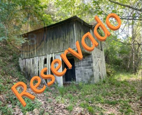 Terreno com anexo agrícola, com 14.090m², a confrontar com ribeiro, em Basto, Cabeceiras de Basto