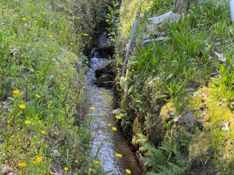 Terreno com anexo agrícola, com 14.090m², a confrontar com ribeiro, em Basto, Cabeceiras de Basto