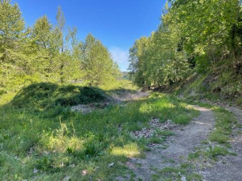 Terreno com anexo agrícola, com 14.090m², a confrontar com ribeiro, em Basto, Cabeceiras de Basto
