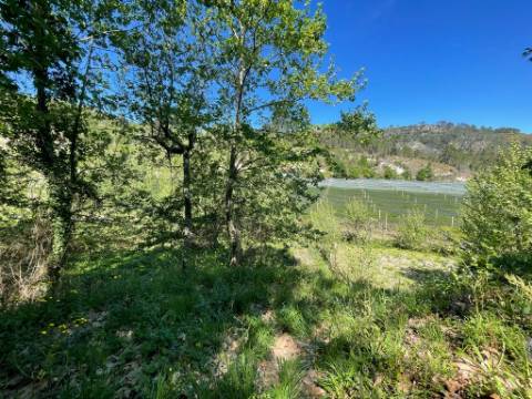 Terreno com anexo agrícola, com 14.090m², a confrontar com ribeiro, em Basto, Cabeceiras de Basto