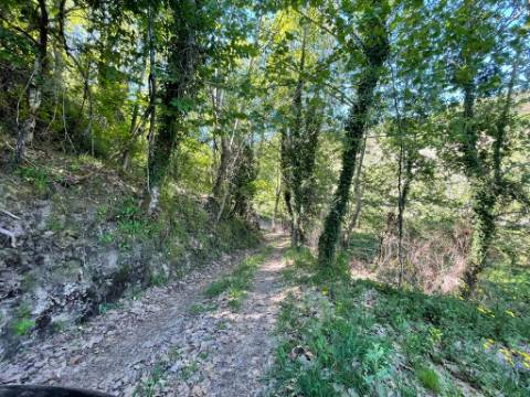 Terreno com anexo agrícola, com 14.090m², a confrontar com ribeiro, em Basto, Cabeceiras de Basto