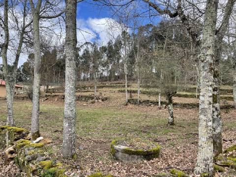 Terreno em zona de construção, com 6921m², próximo ao campo da bola de Chacim, Cabeceiras de Basto