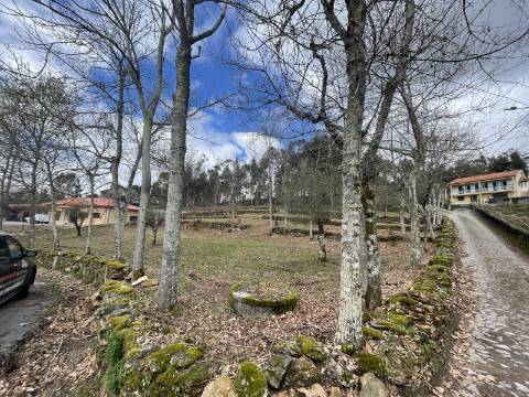 Terreno em zona de construção, com 6921m², próximo ao campo da bola de Chacim, Cabeceiras de Basto