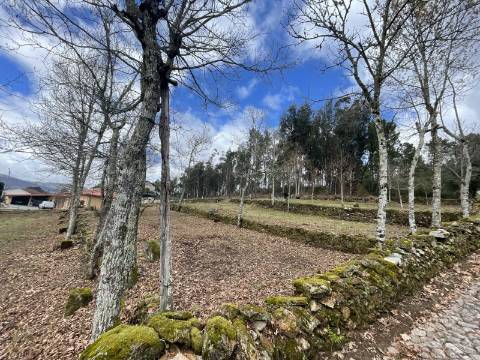 Terreno em zona de construção, com 6921m², próximo ao campo da bola de Chacim, Cabeceiras de Basto