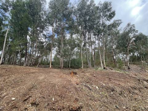 Terreno em zona de construção, com 6921m², próximo ao campo da bola de Chacim, Cabeceiras de Basto