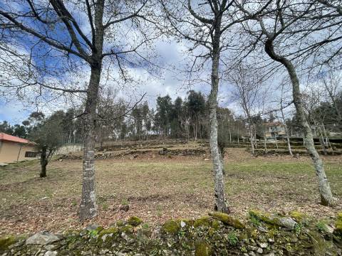 Terreno em zona de construção, com 6921m², próximo ao campo da bola de Chacim, Cabeceiras de Basto