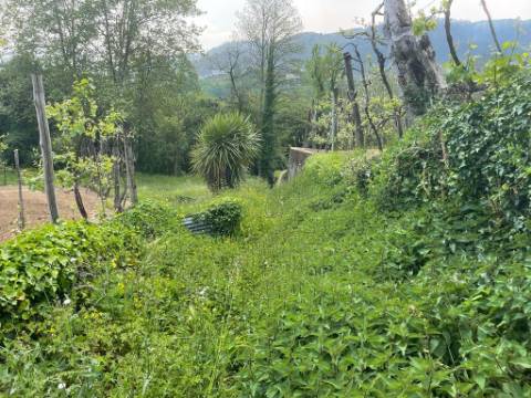 Terreno com 715,18 em zona de construção, em Baloutas, Cabeceiras de Basto