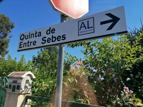 Terreno com 715,18 em zona de construção, em Baloutas, Cabeceiras de Basto