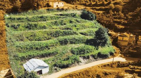 Terreno misto, com 2530 m², na Faia, Cabeceiras de Basto