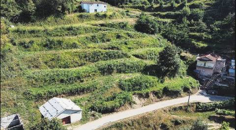 Terreno misto, com 2530 m², na Faia, Cabeceiras de Basto