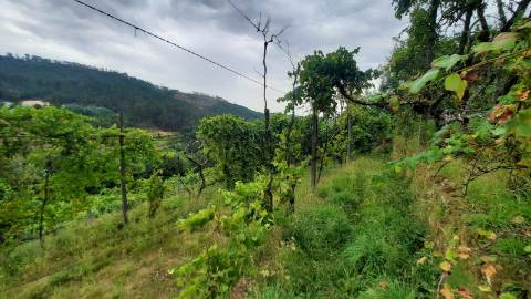 Moradia T2 no Lugar da Cachada, em Refojos de Basto, Cabeceiras de Basto