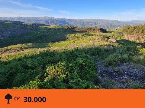 Terreno ideal para turísmo rural em Cabeceiras de Basto